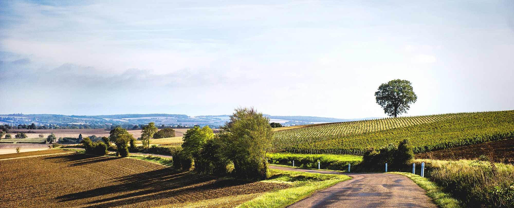 Coteaux du Ginnois